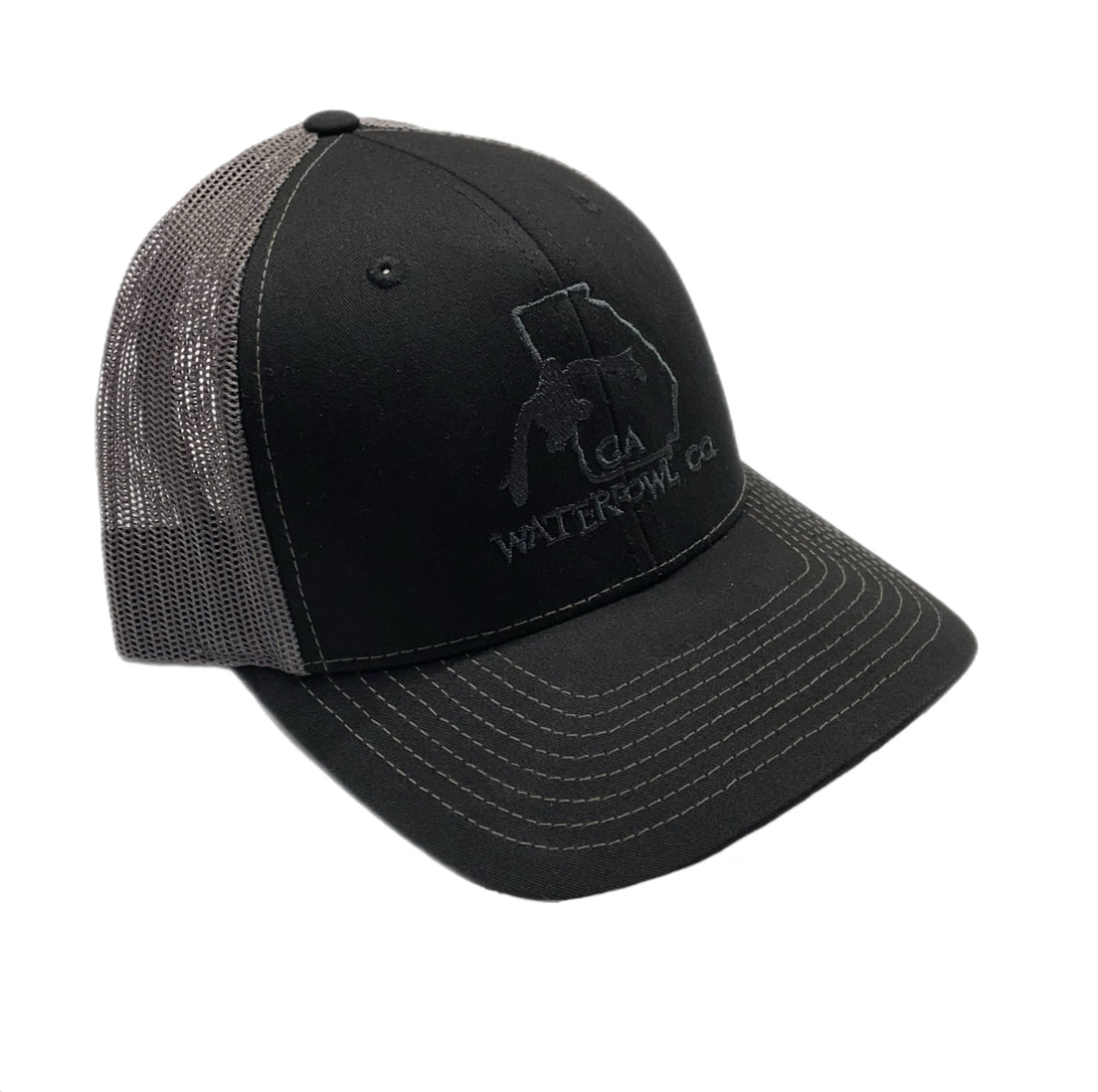 Traditional Logo Snapback